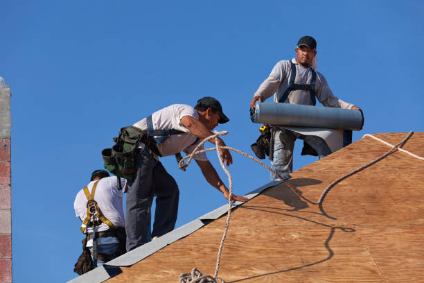 Best Commercial Roofing Services  in Myrtle Grove, FL