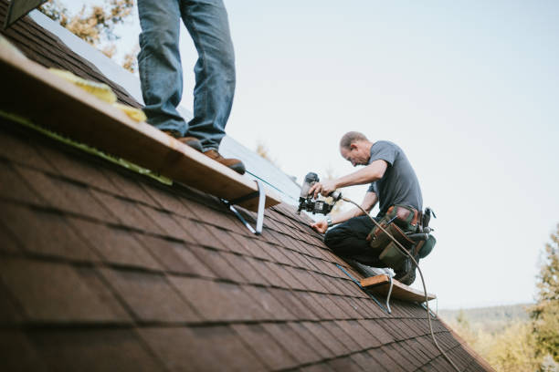 Best Local Roofing Companies  in Myrtle Grove, FL